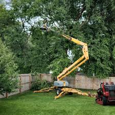 Best Sod Installation  in Mertzon, TX