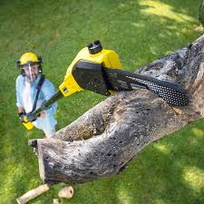 Best Lawn Watering Services  in Mertzon, TX