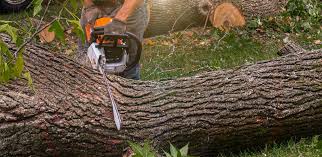 Best Aeration Services  in Mertzon, TX