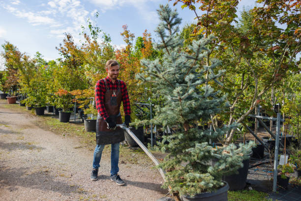 Best Lawn Maintenance Plans  in Mertzon, TX
